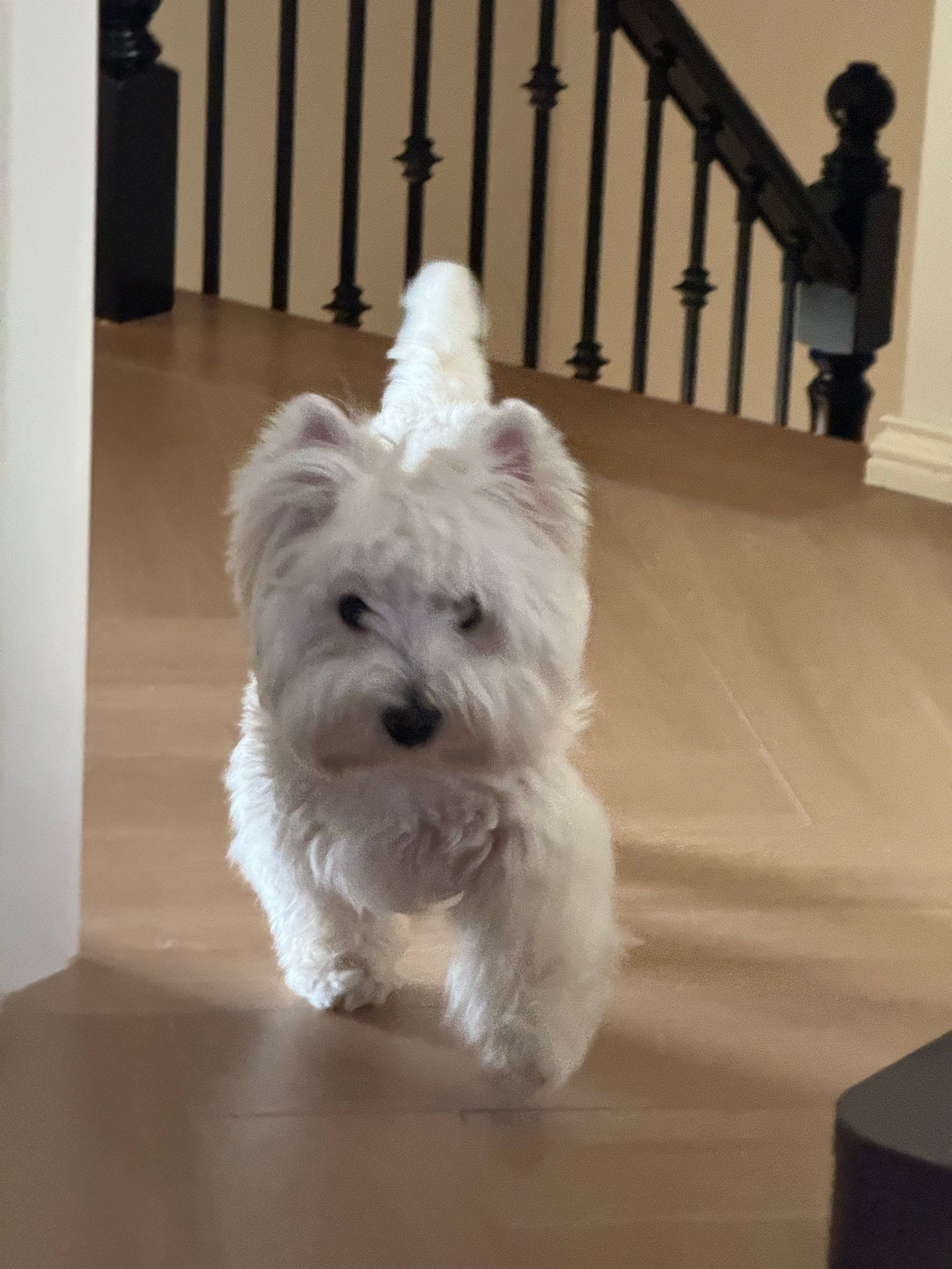 39块买的好漂亮