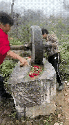 纯天然无添加绿色辣椒酱，绝对好味道