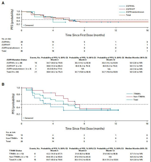 第 4 个：Telisotuzumab Vedotin联合Erlotinib的疗效与安全性