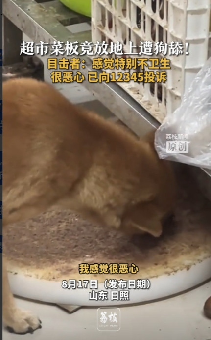 严查到底！”8月17日，山东日照，一女子去超市买菜，结果看到剁肉的菜板被放在地上