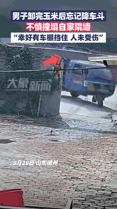 “心怎么这么大！”9月28日，山东德州，一男子用三轮货车从地里拉玉米回家，卸完货