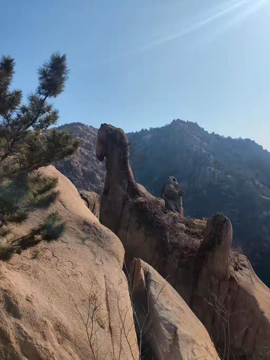 青岛大珠山惊现天赐“奔腾骏马石”！马年爆火全网，游客挤爆山头只为摸一把沾喜气，现