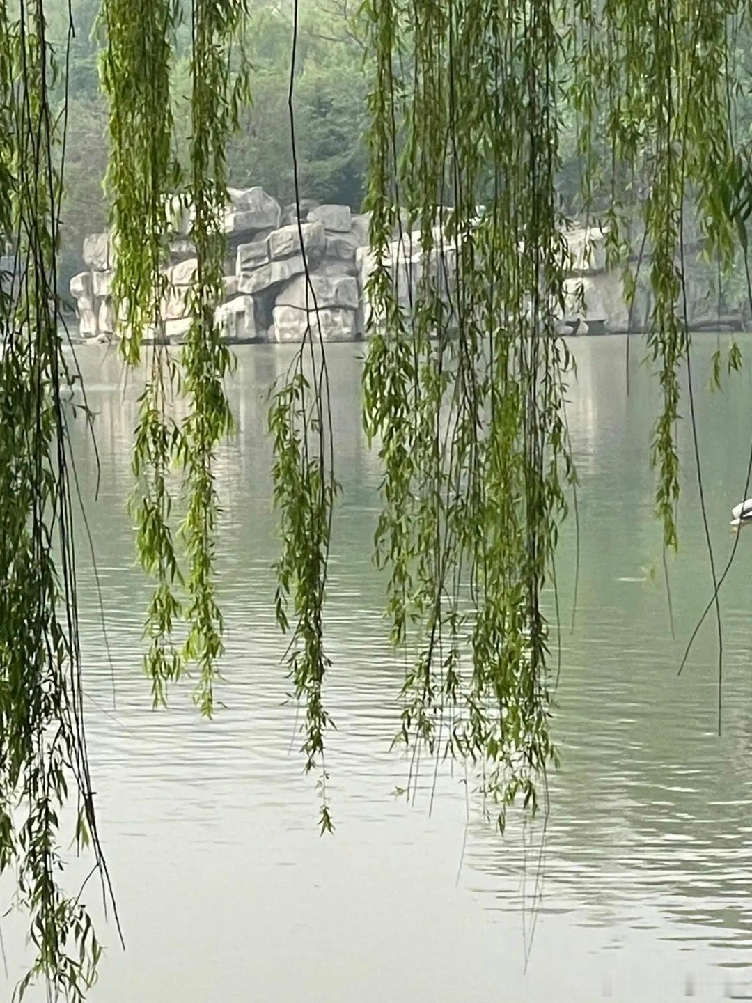 藏在照片里的夏日治愈瞬间✨寻美中国