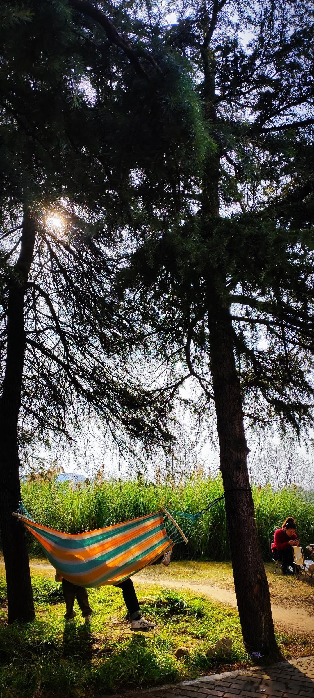 冬日生活随拍遇着阳光好的午后，汉江湿地公园便是人们的乐园。这一刻的神清气爽，大概