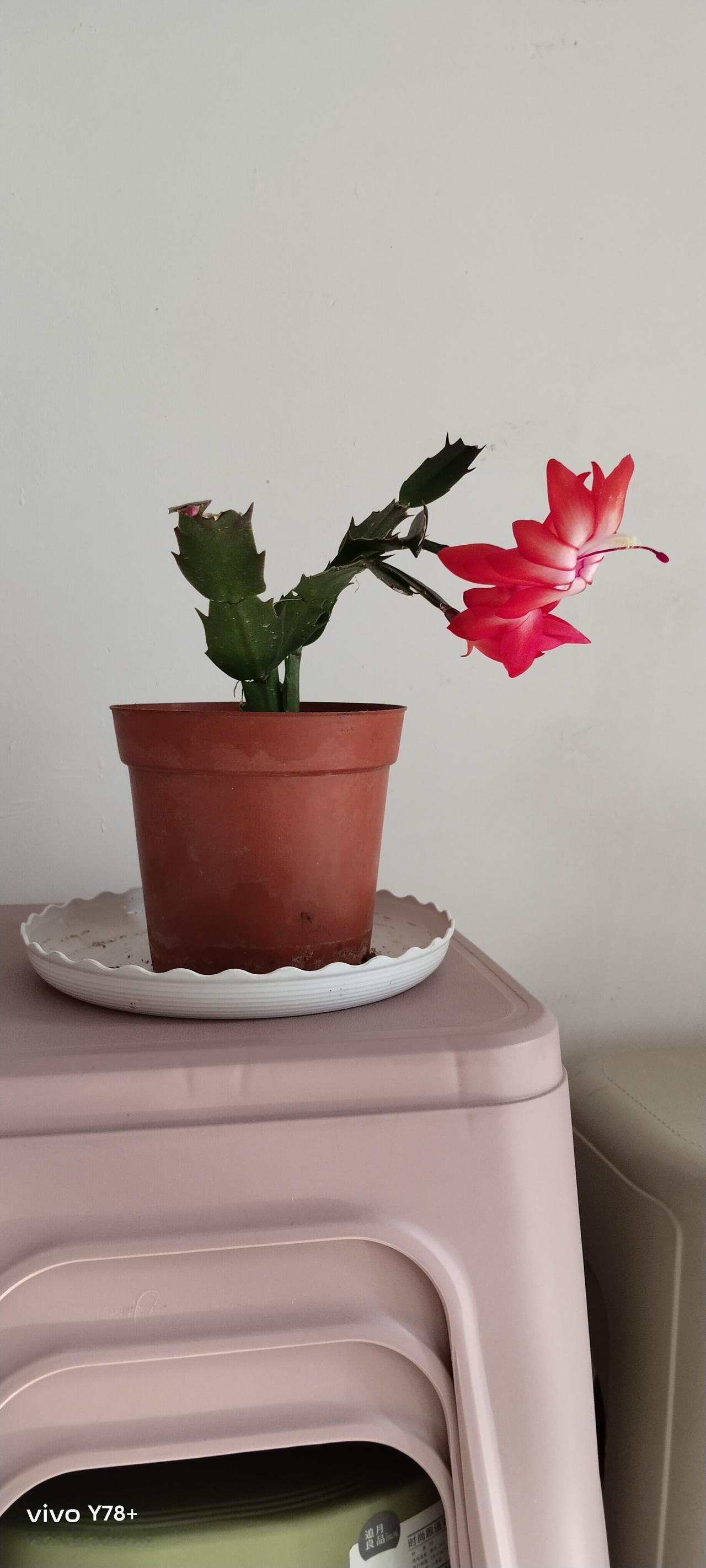 邻居是70多岁的退休老头，养老金3000多。每天的作息时间比较规律，早上5点起