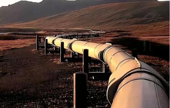 德国这下真要慌了。 有知情人士爆料，俄罗斯已明确通知哈萨克斯坦和德国，从20