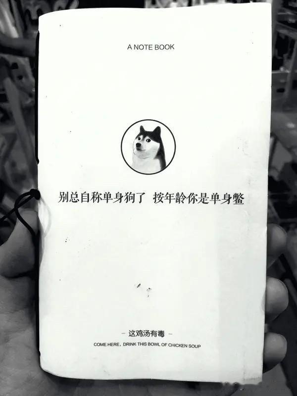 中国成年人的单身人数最新数据出炉了！现在国内单身的人真的越来越多了，说出来你