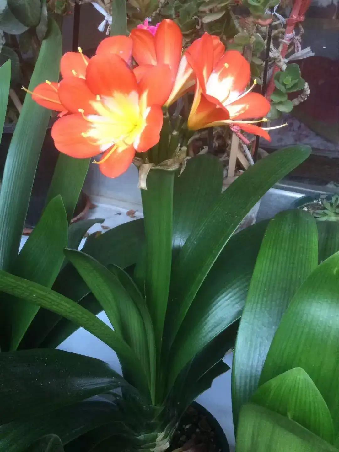 我是60后，我想开了，不让我的孩子活的那么累，工作上平平淡淡就好，不追求事业有成