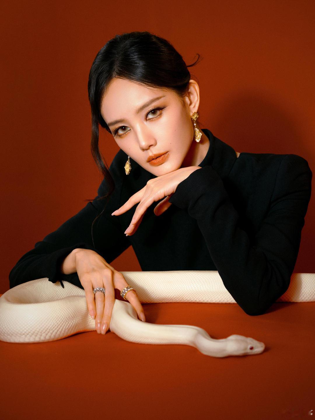 #不知道的还以为李一桐在劈叉##把蛇看成了李一桐在劈叉#求你们看原图！李一桐黑色长袖镂空，红背景，冷