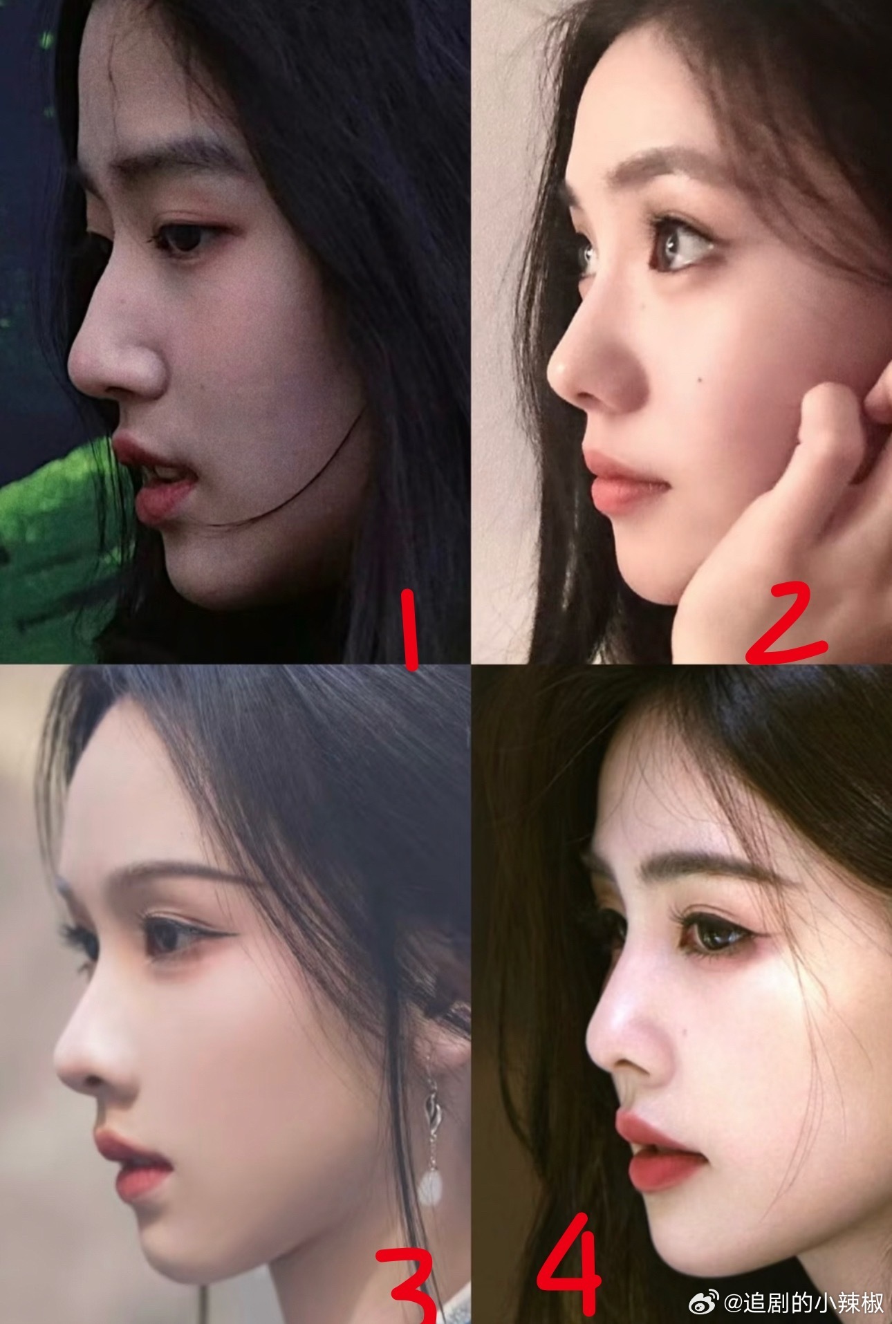 侧颜四选一，谁美得最突出？​​​