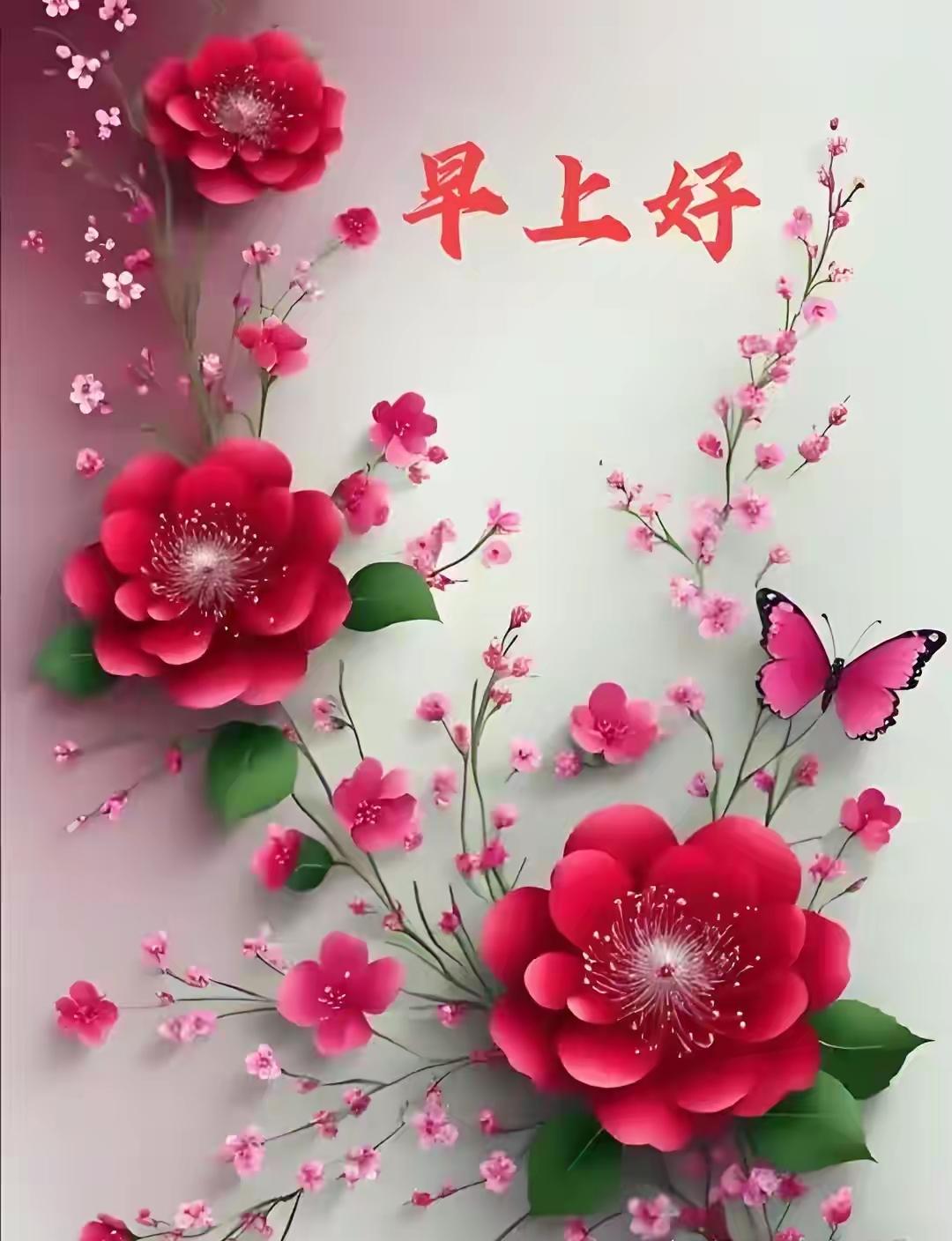 🌹早上好🌹心宽无挂碍，日子常安暖；晨起迎朝光，岁岁皆平安；烦忧随风