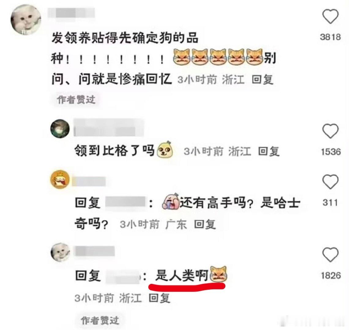 好绝望的四个字