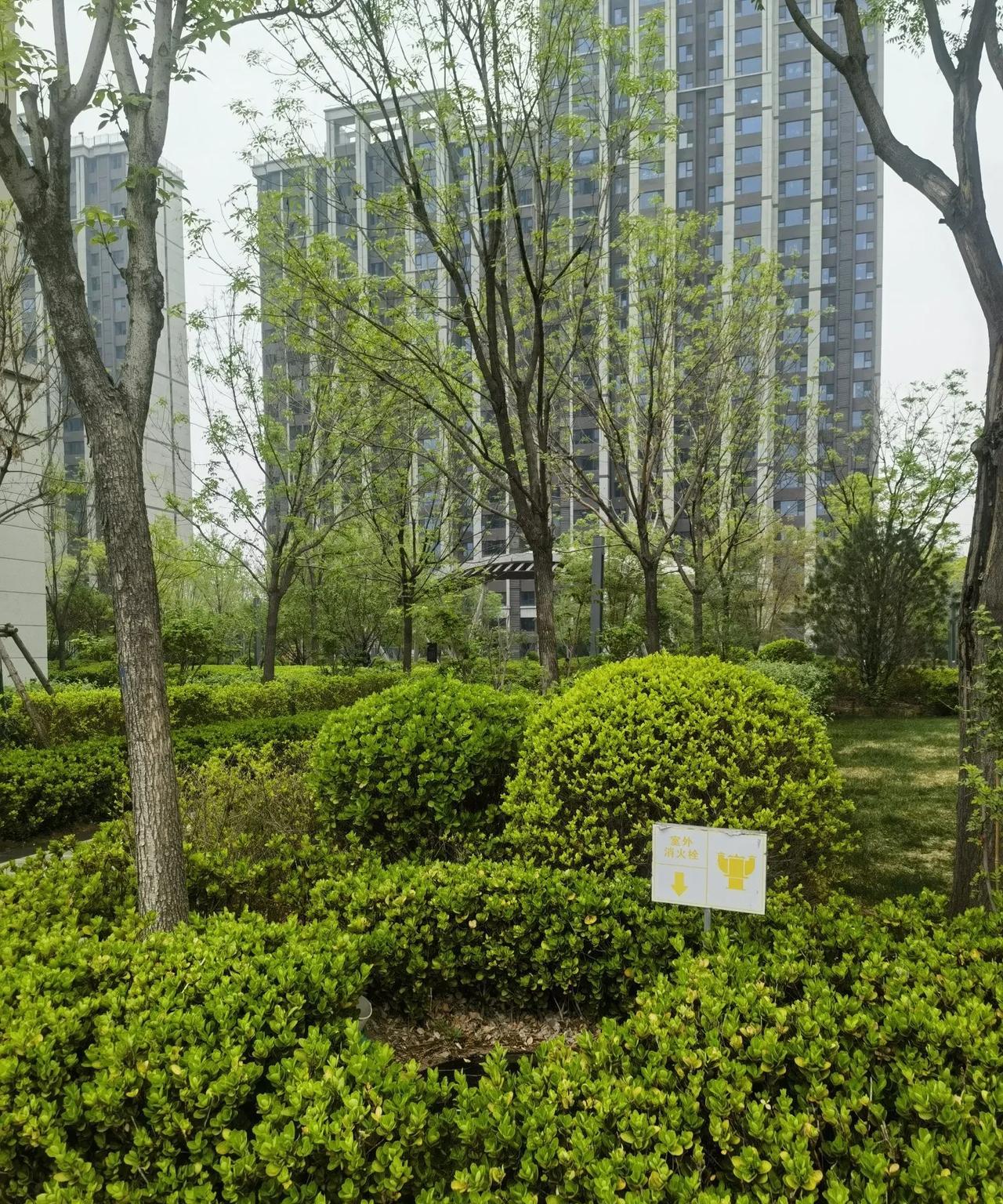 农村的叔叔讲：“谁说楼房不香了？在农村，只要家里有儿子的，不管是在省城还是县城能