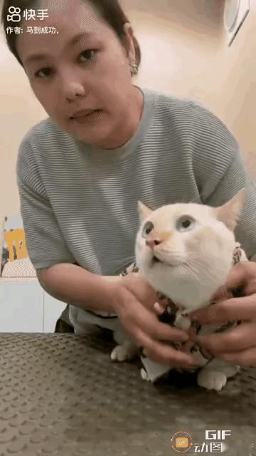 养宠物猫狗的要破防了！你当它是宠物，但它未必就把你当主人！养得再熟也只是一个畜生