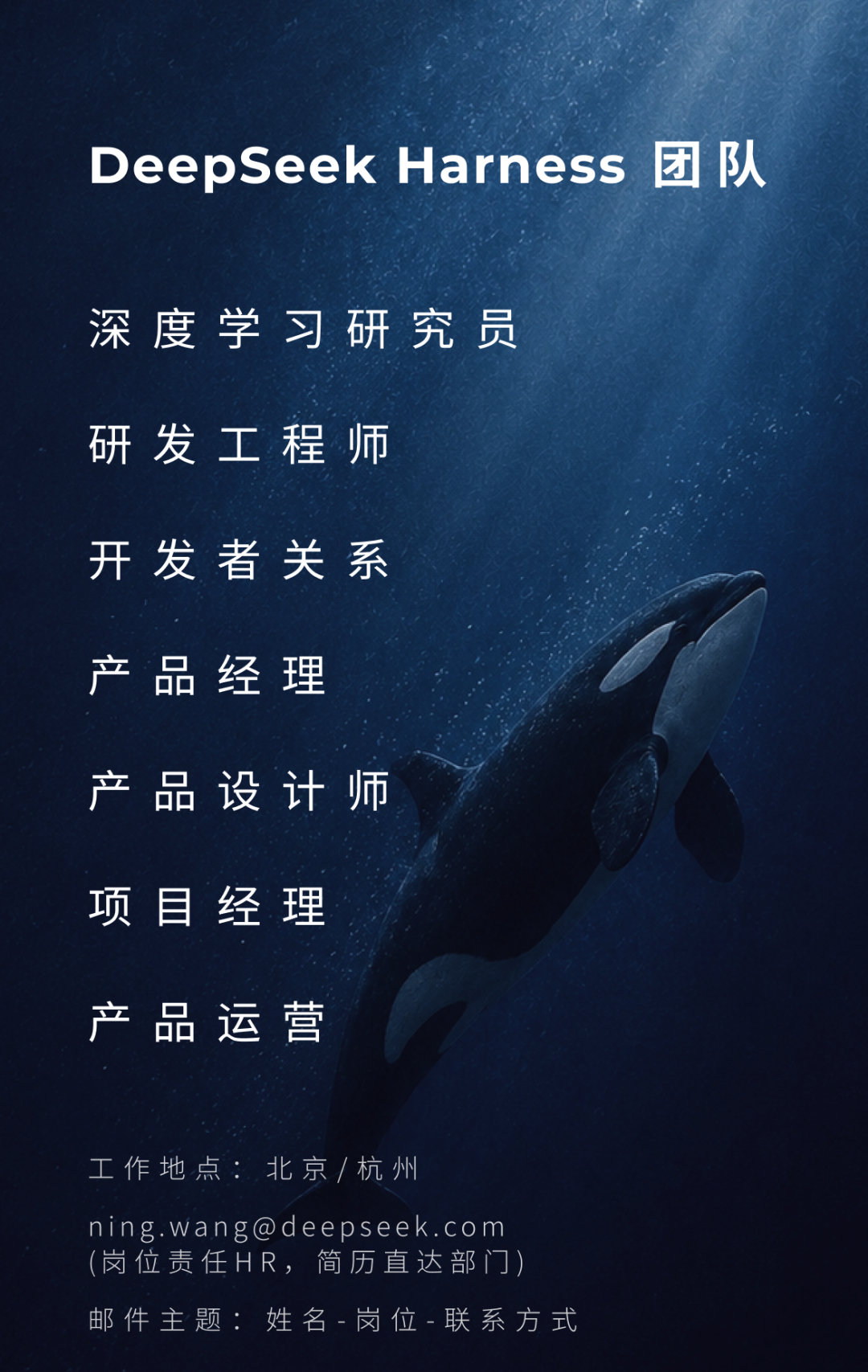 DeepSeekHarness更新，适配DeepSeekV4.1Flash模型，而且团队还在招聘。话