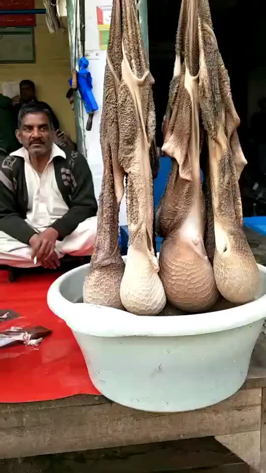 月竹清风-巴基斯坦电影《生命》男女经典对唱