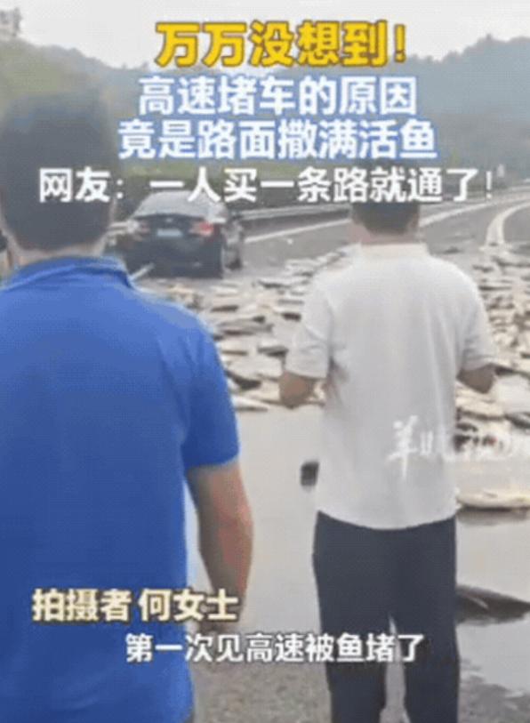 这次高速堵得不是车！湖南，一女子女子上高速前，看导航是绿波，没想到，她才刚上高速