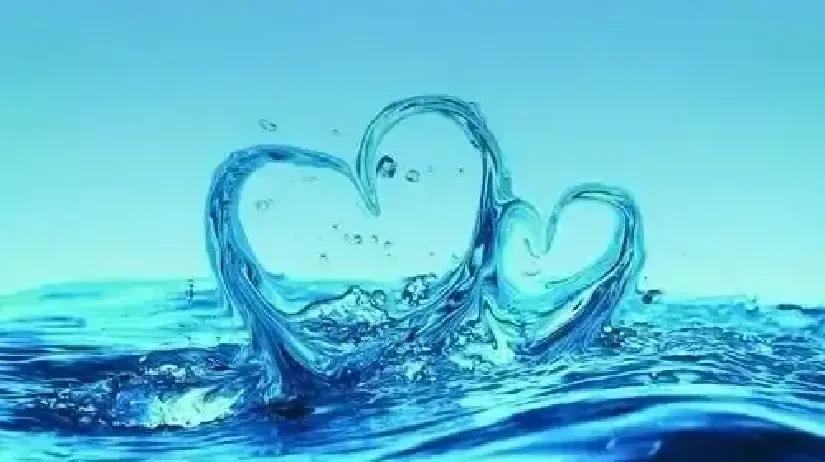 我退休后跟老伴把周六下午三点钉成家庭闹钟。茶几摆开廉价饼干和去年没喝完的龙井，