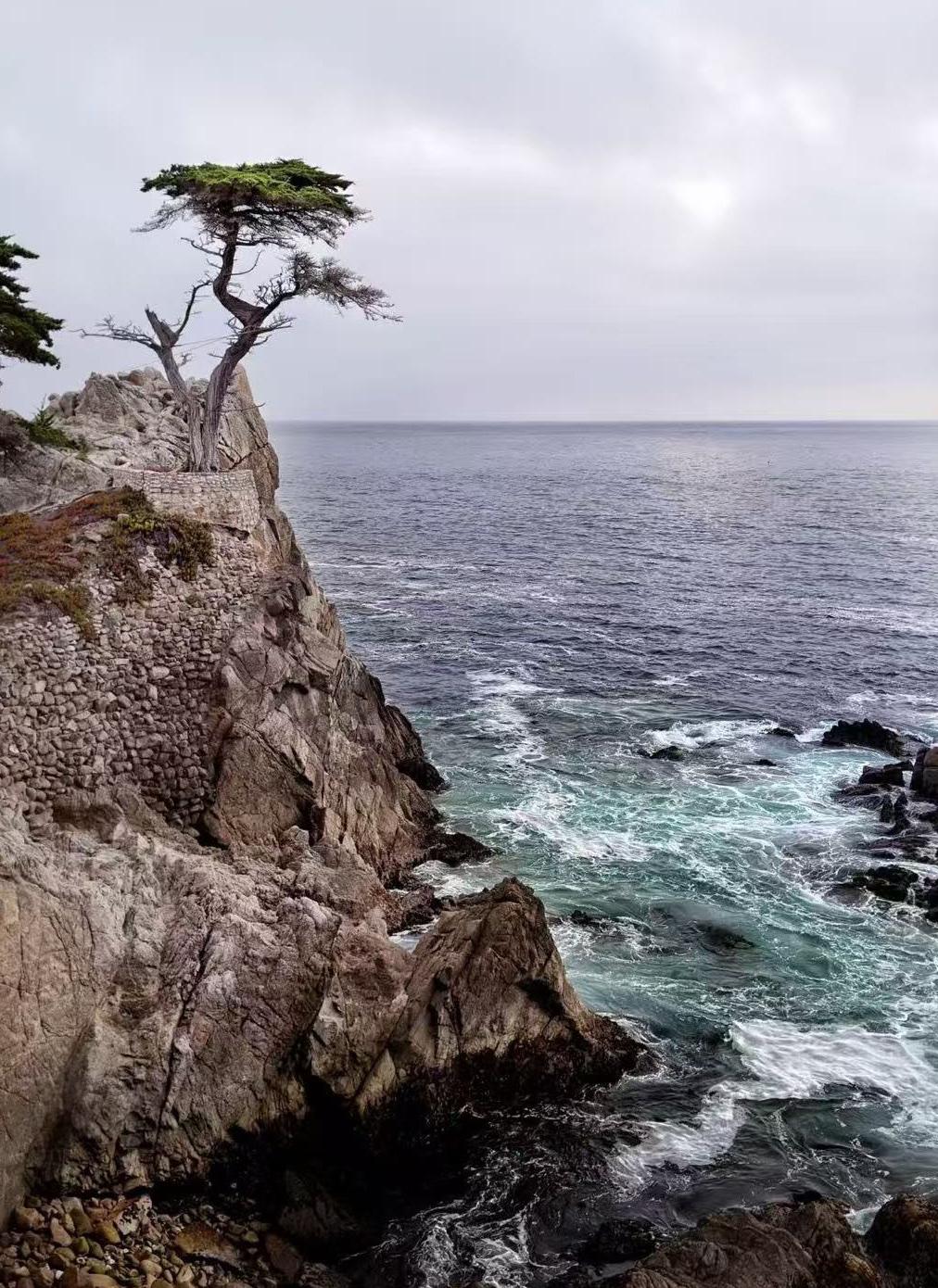 （随拍随言）相约美国加州蒙特利CaliforniaMarinaEVBolt,