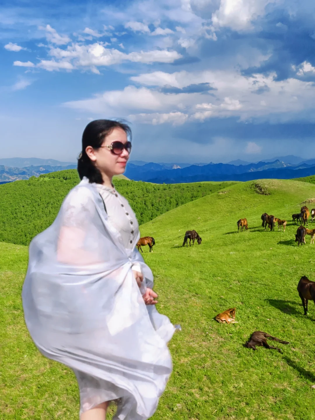 🌿北京3h直达！22℃“京北阿勒泰”，自驾党必冲！ 	 不用去新疆...
