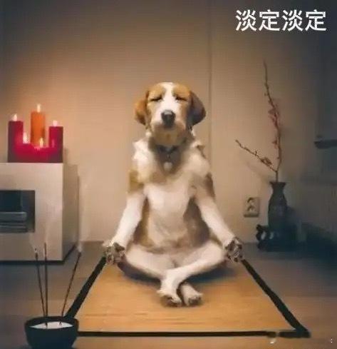 A股午后继续平衡窄幅波动，大致到收盘也都是这个样子了现在是下午的2:14截至目前