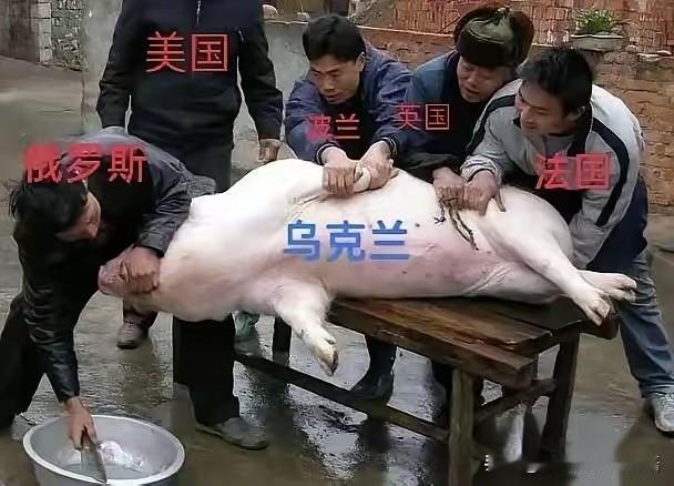 高手在民间，怎一个“服”字能表达佩服之意！牛！