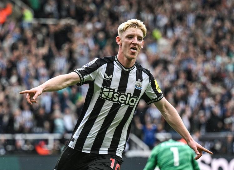 名宿谈戈登和拜仁之间的传闻：为什么要花费7500万镑引进一名替补4月21日讯今