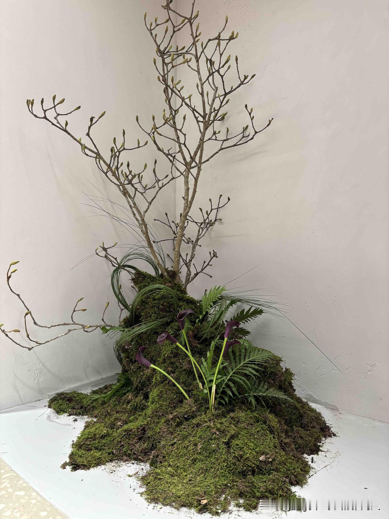 别太把亲戚当回事，今年我爸住院几天，只有小姑提了一箱30元的廉价牛奶来看望，大姑