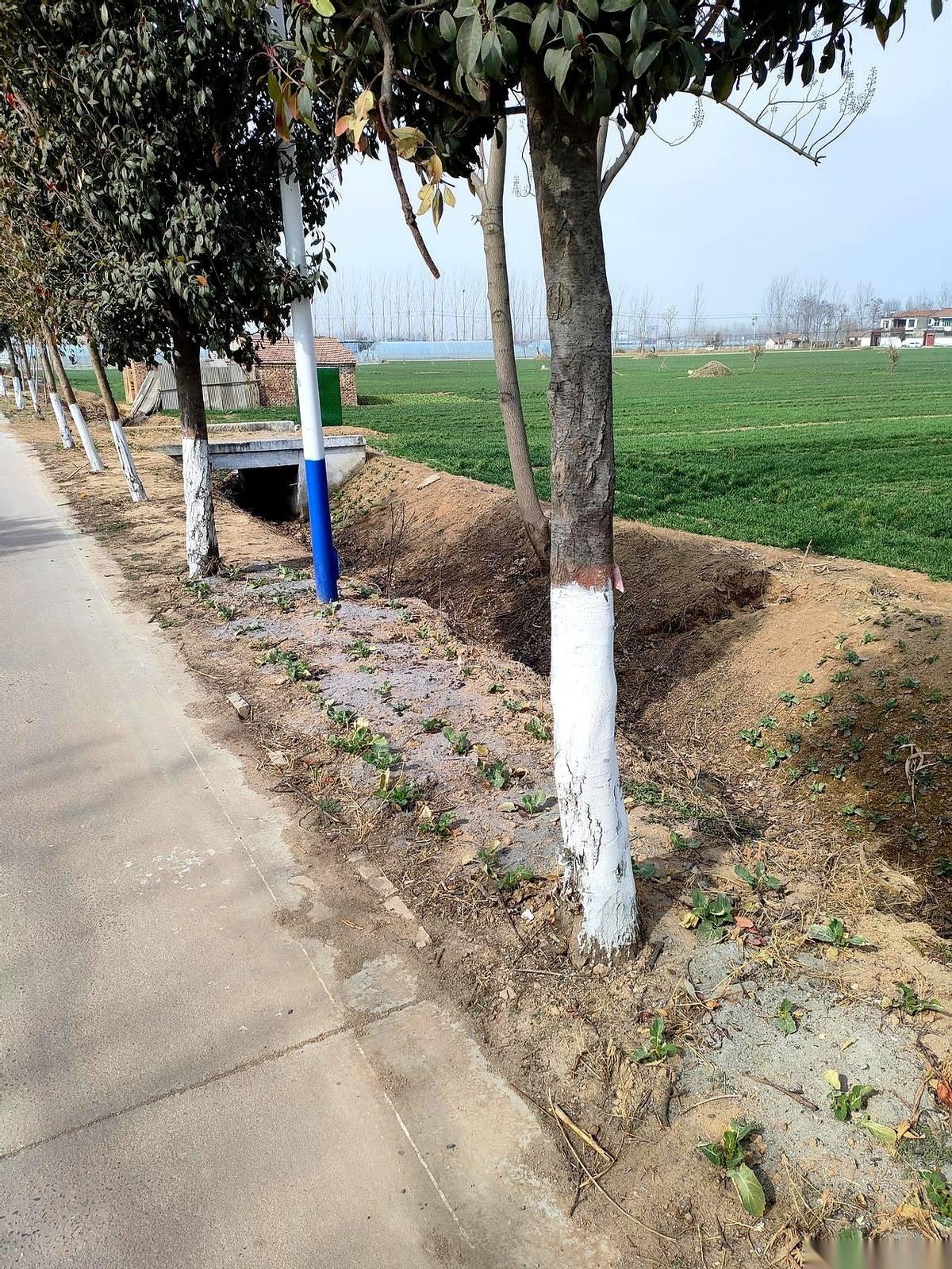 今天相亲，对面一个38岁的姐，带着个13岁的闺女。上来没聊别的，直接摊牌：县