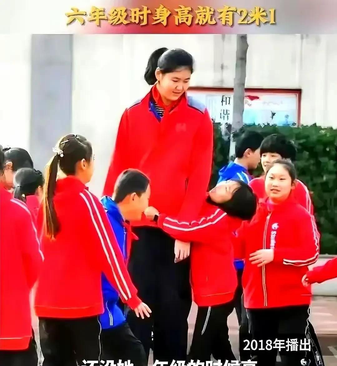 张子宇改年龄了吗？很多人说起这个问题，就是言之凿凿说，一定改了！有些球迷的话还特