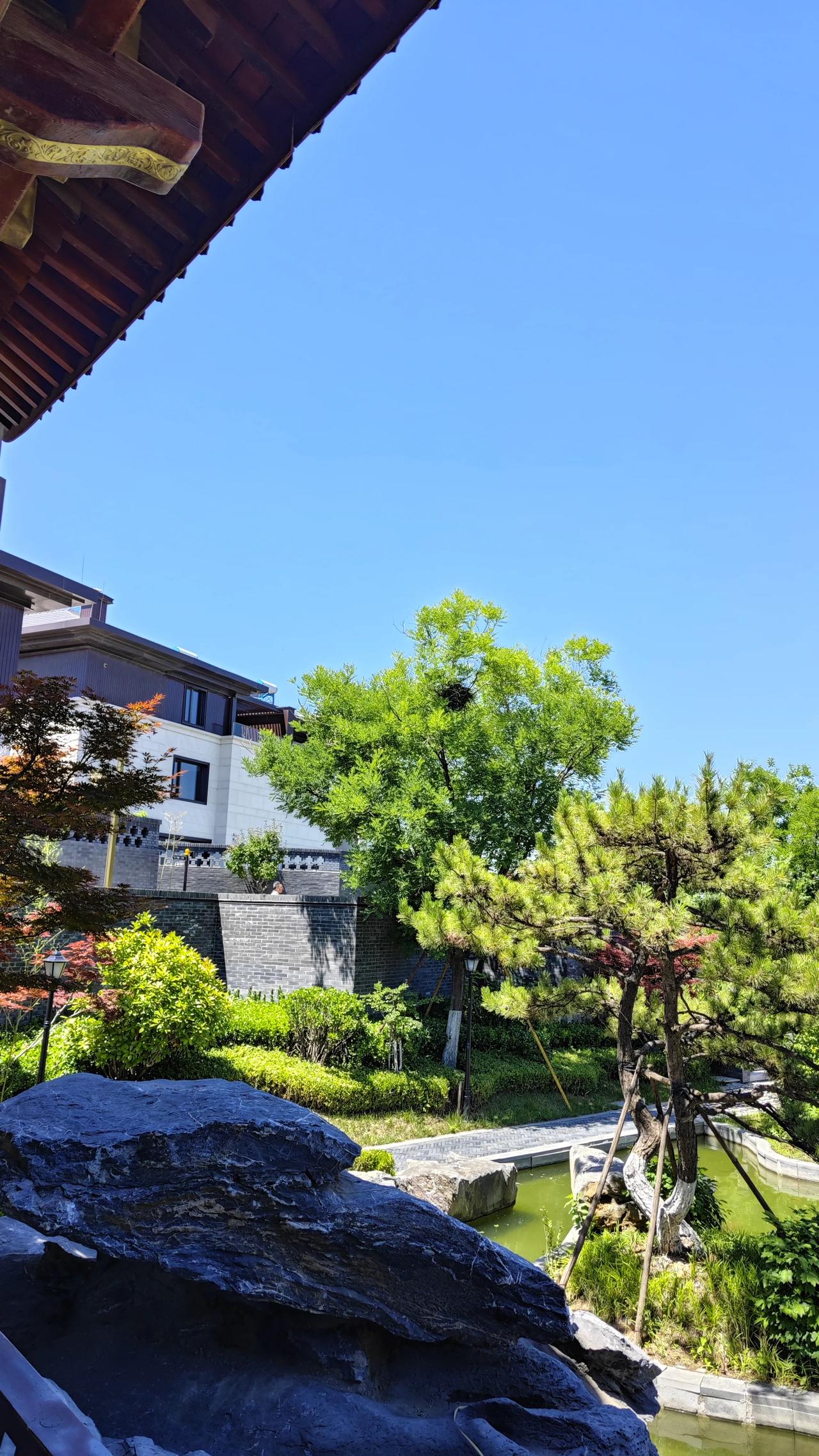南怀瑾：你去研究研究《神仙传》、《高僧传》，每一个修成神仙的，小的时候都是多病