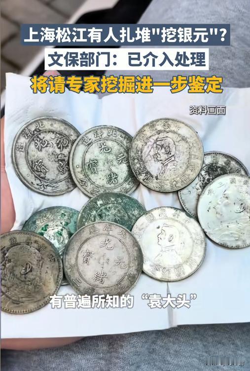 上海人连夜挖银元？别跟风！挖到也不是你的⚠️松江车墩镇的空地被围得水泄不通，铁