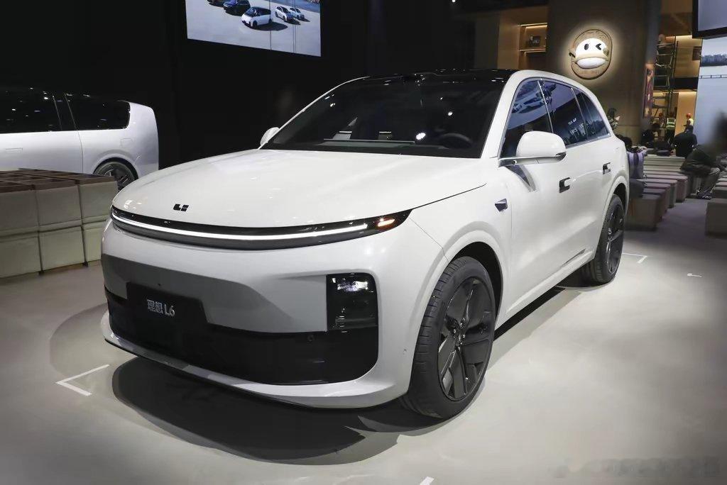 羡慕现在小孩都可以参与到家庭购车的决策当中了！路边听到一个妈妈跟小孩说，你想要L