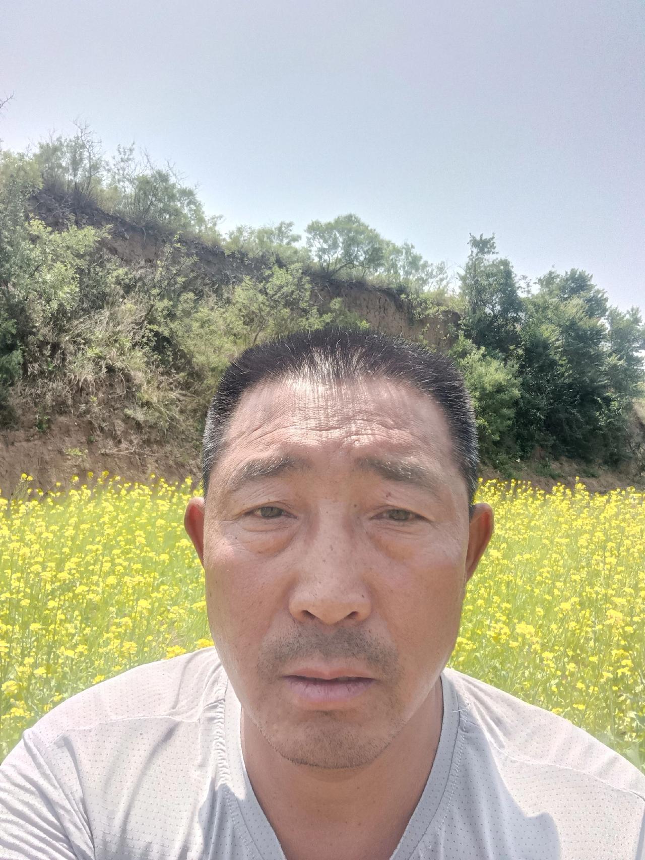 开始采摘啦。