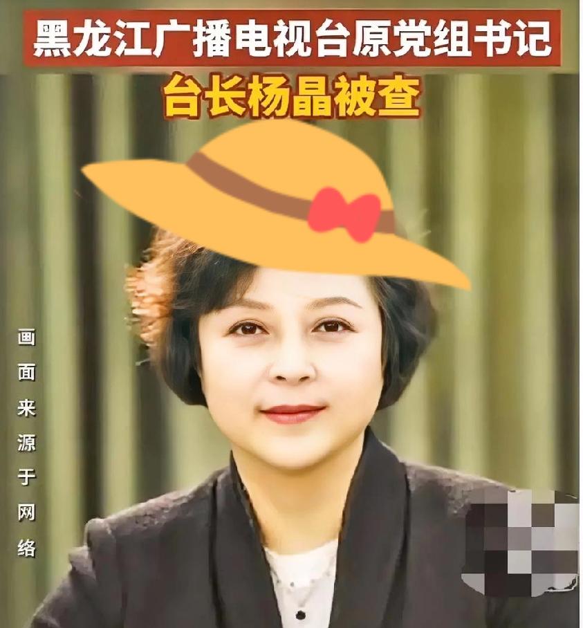 五一假还没开始黑龙江广电系统就传出了重磅消息：杨晶被查了。这位63年的大