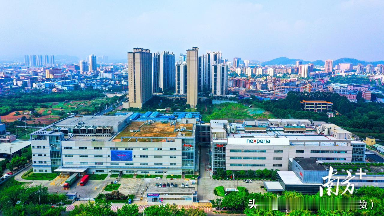 1. 安世半导体控制权案，根本不是普通商业纠纷！是政治干预下的产权和供应链博弈，