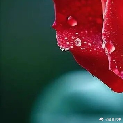 人这一生，最难战胜的，不是别人，而是自己的自私。自私是与生俱来的，它藏着深，常常