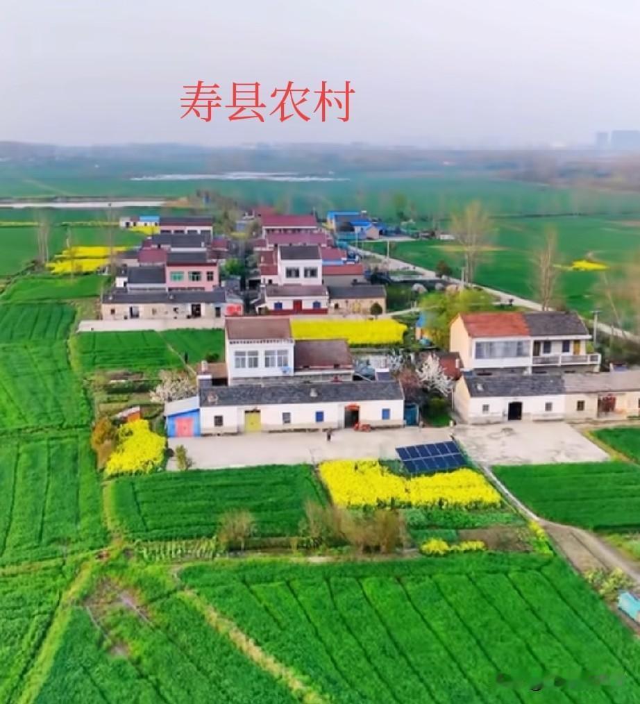 安徽省发展的好不好？应该听听那些不会上网的老年人说话，他们最有发言权笔者是安徽