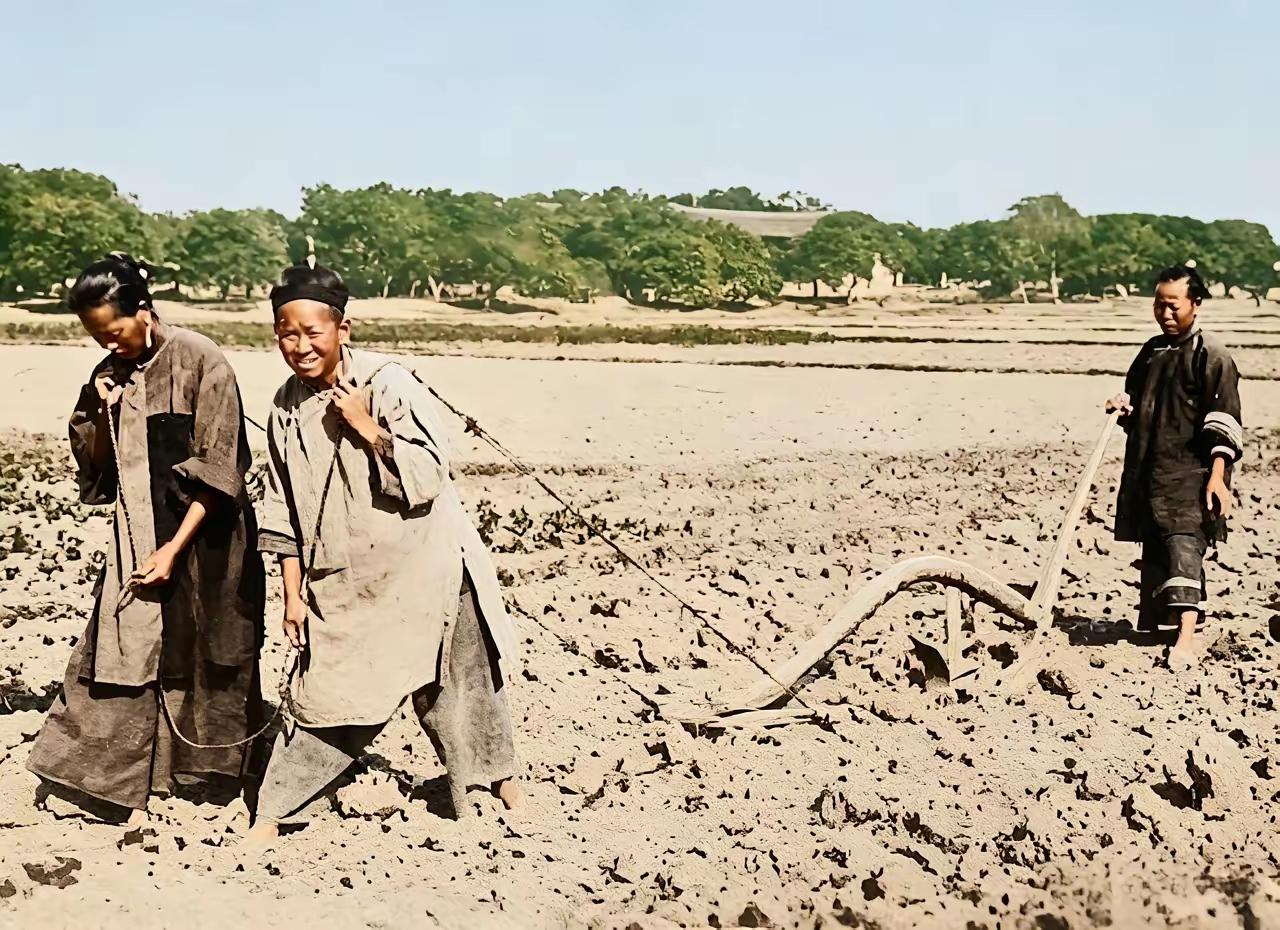百年前福建这三名妇女合作耕地的画面太让人感慨了。福建“八山一水一分田”，人均耕地