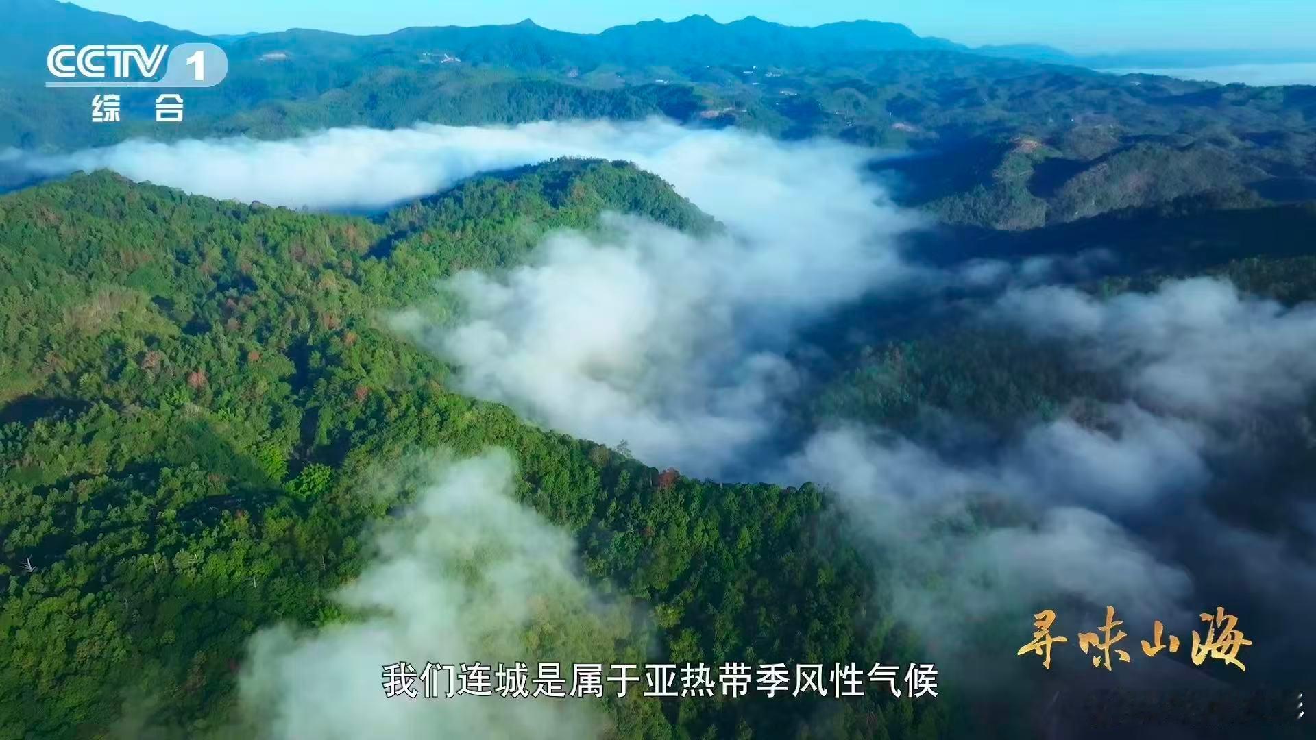 福建有种鸭越老越贵3招教你判断鸭子年龄别小看这只瘦老鸭，营养可丰富了。体内含有