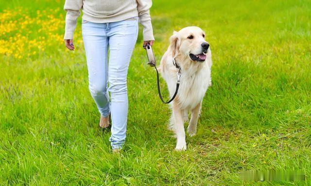 最先想到的是“犬”，因为在小区里狗比人多。[捂脸哭]