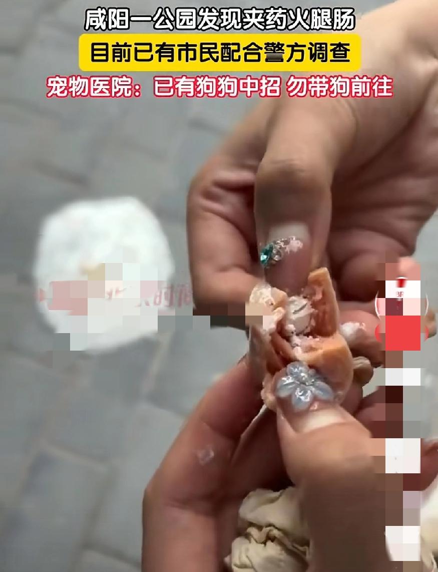 太缺德了！咸阳一公园竟出现夹药火腿肠，已有狗狗中招！