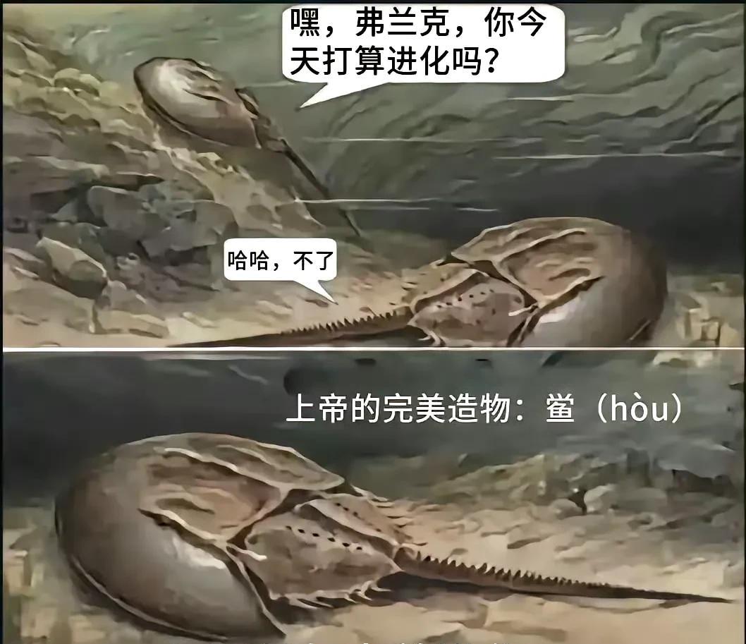 想问下，这家伙儿现在灭绝了么。。