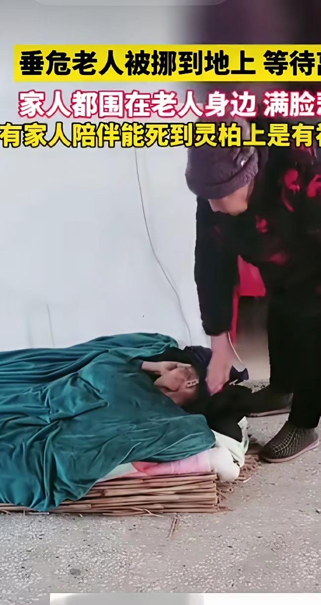 老人在弥留之际被家人抬到地上，等着咽气，这时远在外地的孙子回来后，不顾家人反对，