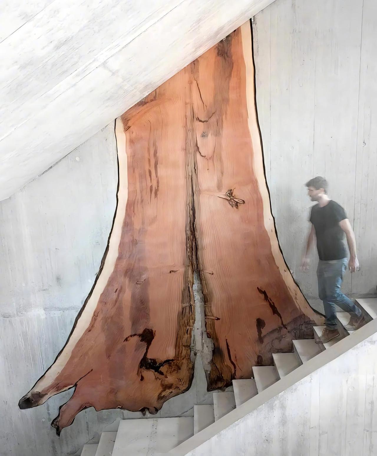 瑞士罗尔（Rolle）的CollègeduMartinet（马蒂内特学院）里