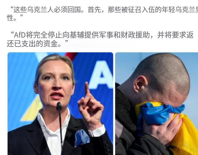 泽连斯基害怕的事情发生了！魏德尔说了两句话，泽连斯基慌了：她要送回的，不是兵源，