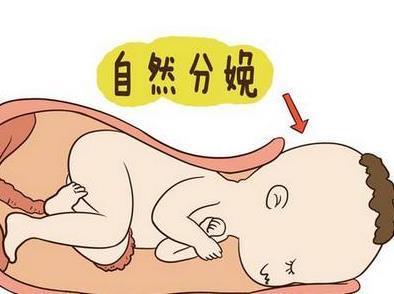 十月怀胎, 医院鼓励顺产, 为什么杨幂等女明星都爱剖腹产?