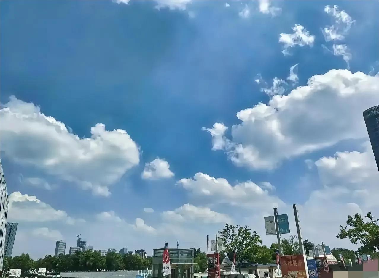 44岁两个孩子,打算离婚!家里经济崩溃了,没办法,只能离婚了!老公三次创业