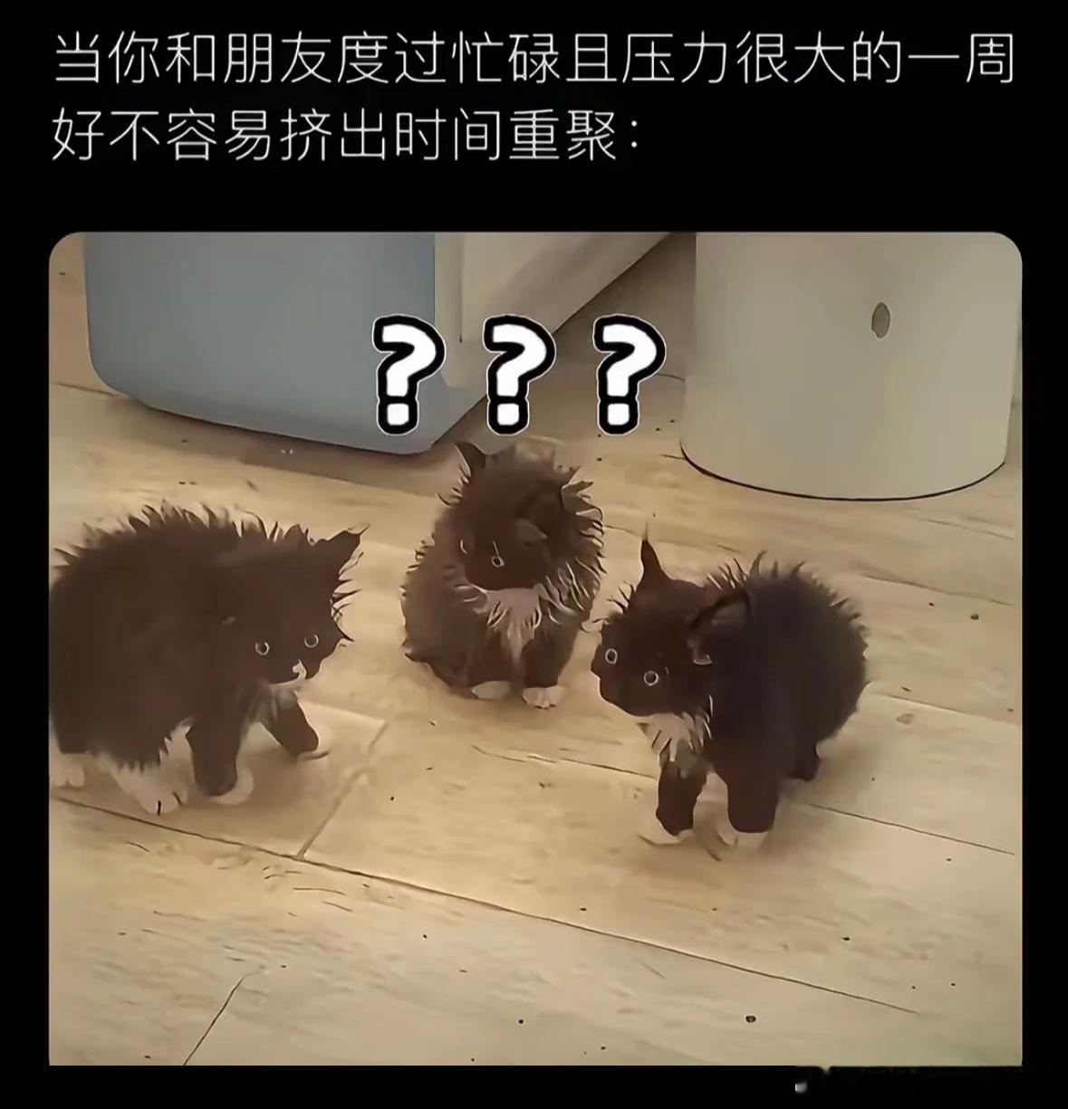 原来大家都惨得五花八门​​​