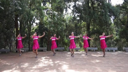 伶意广场舞花楼恋歌背面分解动作下载 动动云